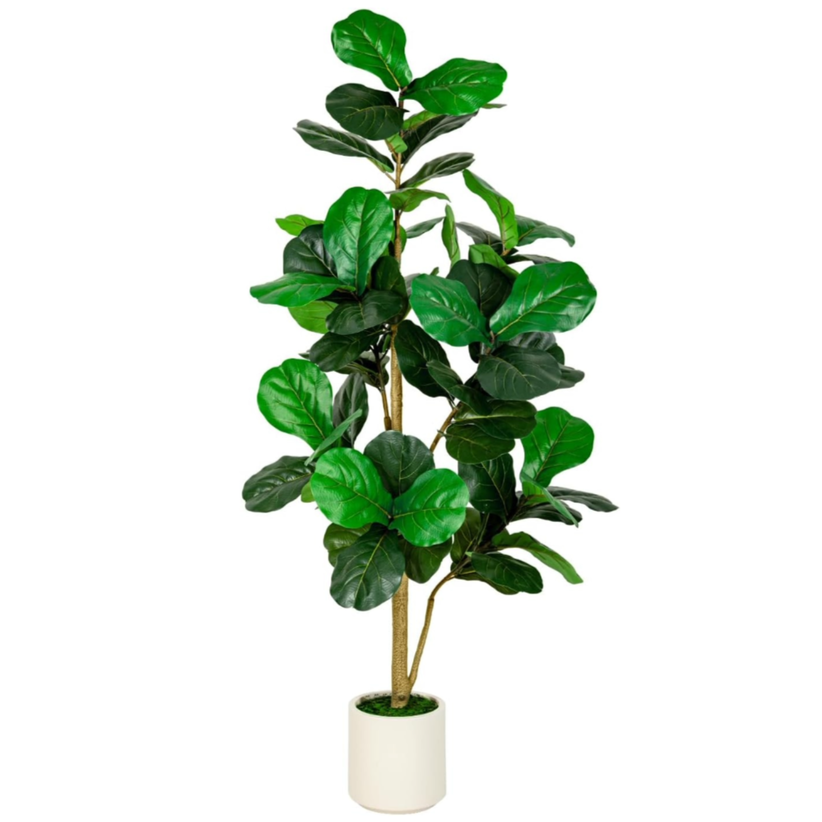 5FT 6FT Fiddle Leaf Fig Faux Tree Artificial Fiddle Leaves Banjo Fig R ...