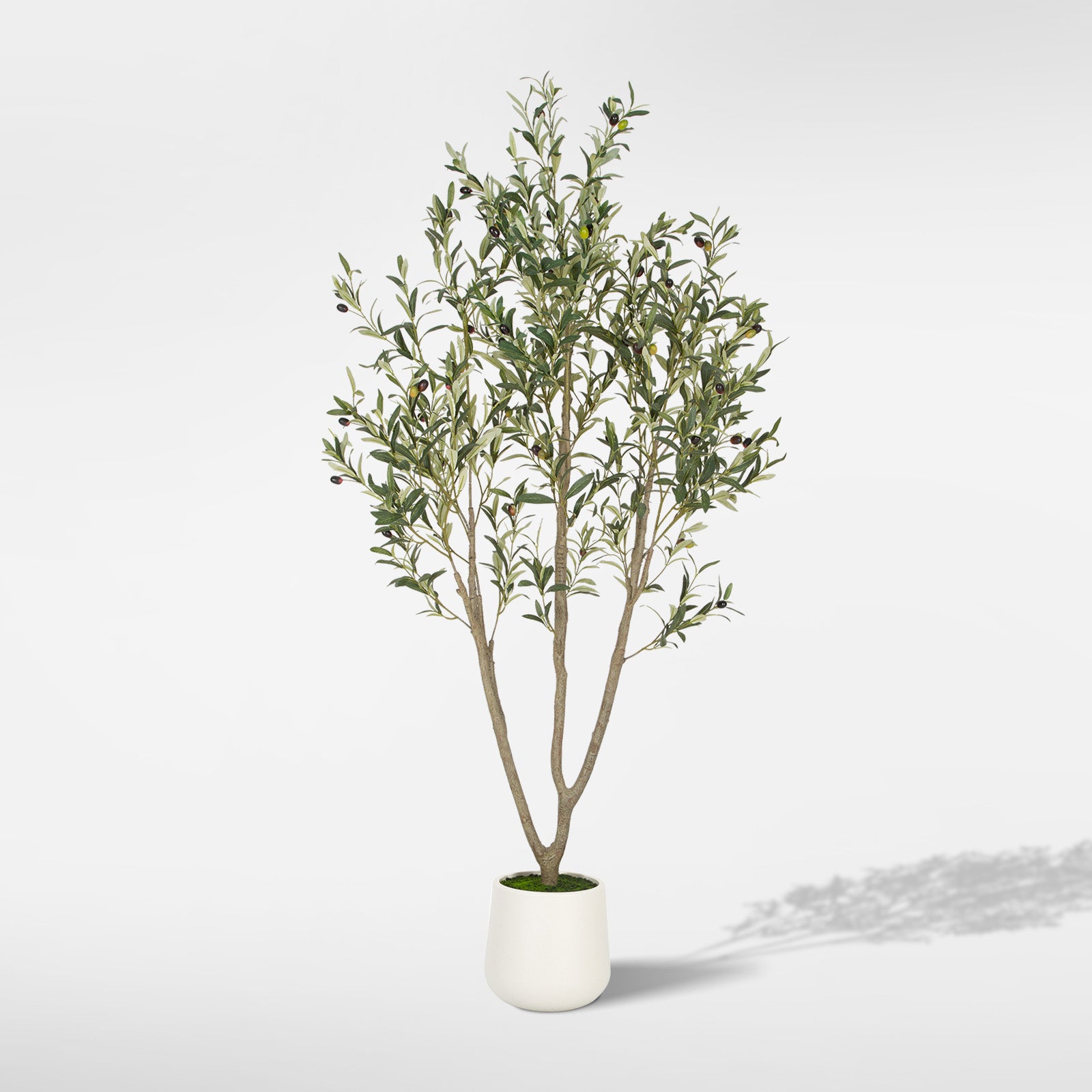 Romswi Faux Olive Tree with Oval White Planter, 6 FT Tall Faux Olive T ...