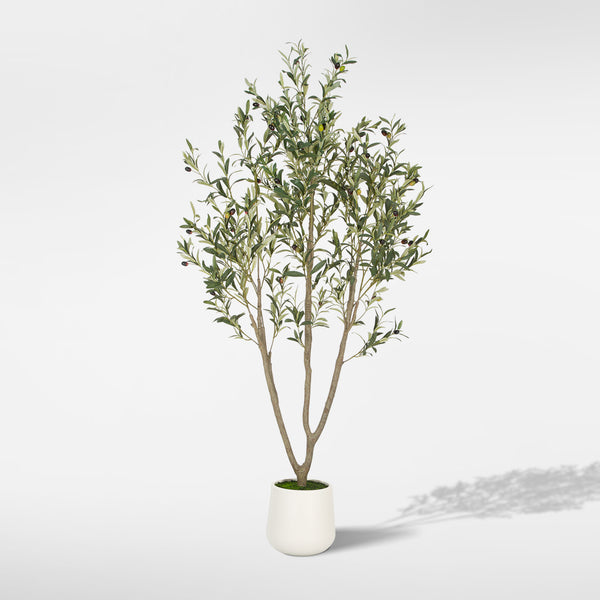 Romswi Faux Olive Tree with Oval White Planter, 6 FT Tall Faux Olive Trees, with Natural Wood Trunk Lifelike Fruits, Fake Greenry Plant for Home Decor