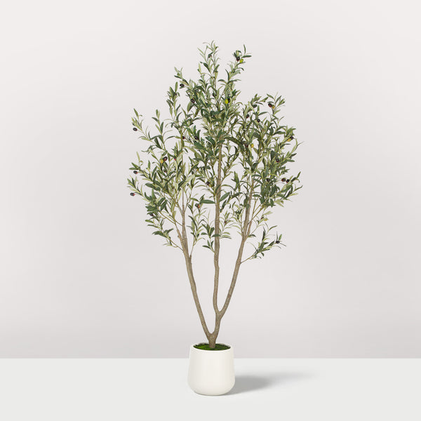 Romswi Olive Tree Artificial Indoor, 5-7 ft Tall Faux Olive Tree with White Planter, Artificial Plants, Natural Leaves Lifelike Fruits for Home Décor