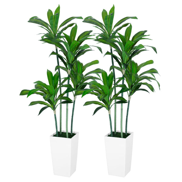 dracaena draco buy 5FT Silk Tropical Dracaena Tree